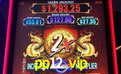 Ofertas Imperdíveis na pp12 vip: Promoções e Bônus Que Valem a Pena